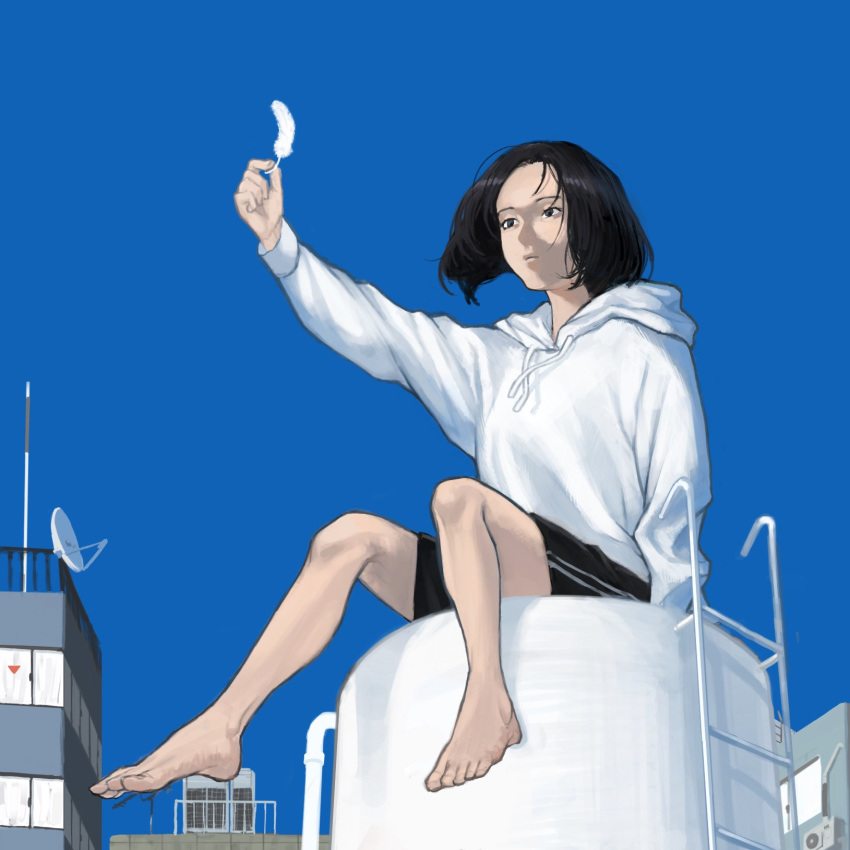 1girl arm_support arm_up asian bare_legs barefoot black_eyes black_hair black_shorts blue_background blue_sky building character_request city closed_mouth copyright_request day drawstring feathers feet highres holding holding_feather hood hood_down hoodie kondate_(inugrm) ladder long_sleeves looking_ahead outdoors outstretched_arm railing satellite_dish short_hair shorts simple_background sitting sky soles solo symbol_commentary white_hoodie window