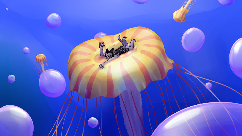 16:9 4k absurd_res anthro blue_background bubble cnidarian domestic_cat felid feline felis feral floating hi_res jellyfish male mammal marine medusozoan sea simple_background skeletorskeletonized soft solo squish underwater water widescreen