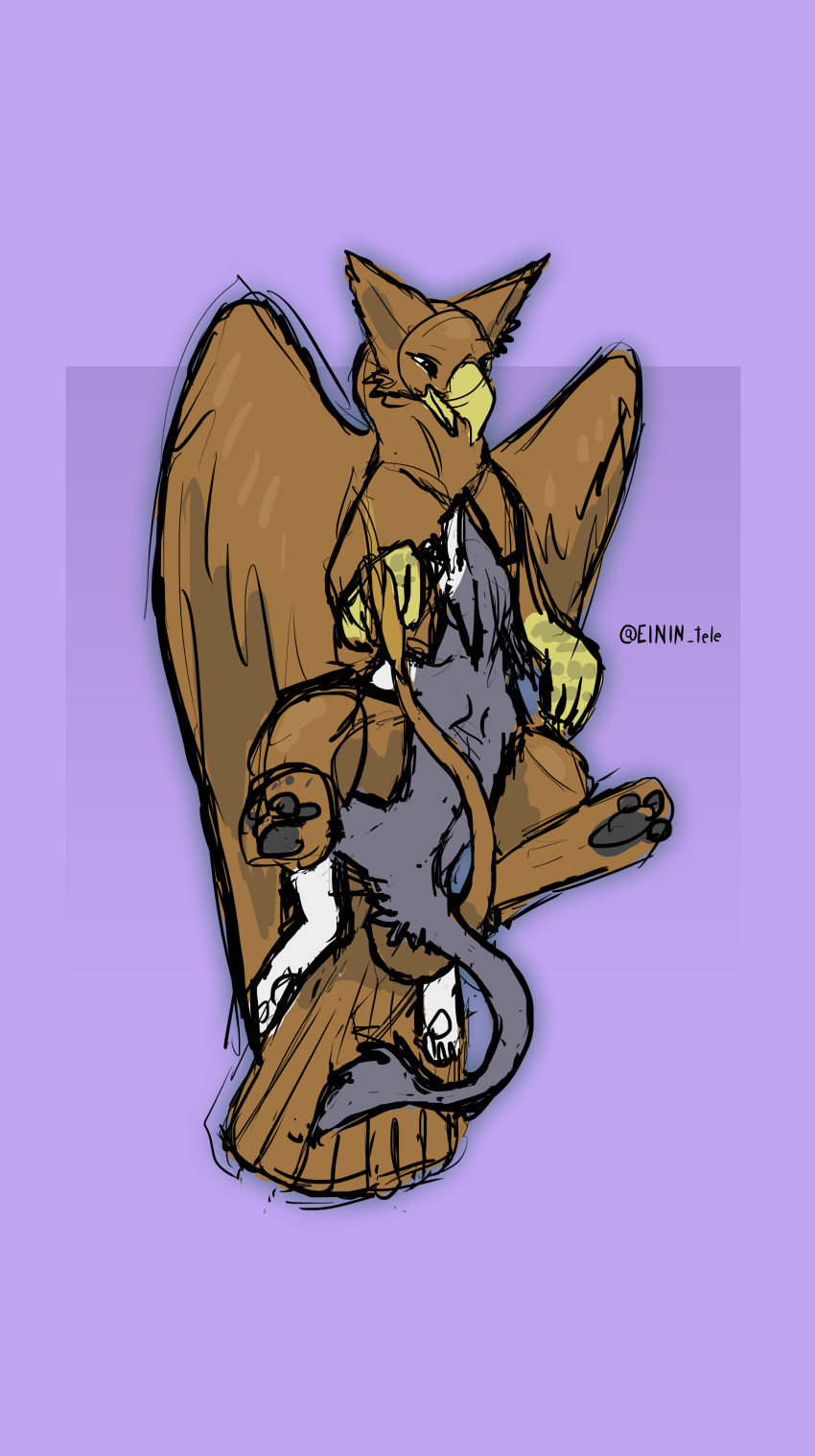 absurd_res anthro avian beak duo einin feathers female feral gryphon hi_res kel male male/female mythological_avian mythology paws sergal sketch snug wings