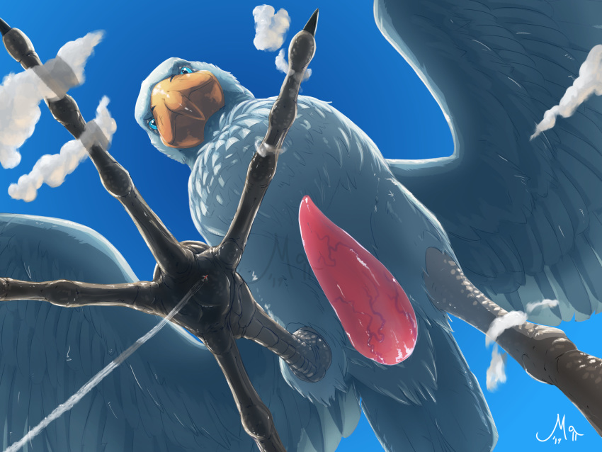 2019 4_toes anisodactyl avian beak bird blue_eyes cloud erection feathered_wings feathers featureless_crotch feral genitals hi_res low-angle_view macro magpi male mega_macro pelecaniform penis pink_penis scales shoebill solo spread_wings toes vein veiny_penis white_body white_feathers wings worm's-eye_view yellow_beak yellow_body yellow_scales