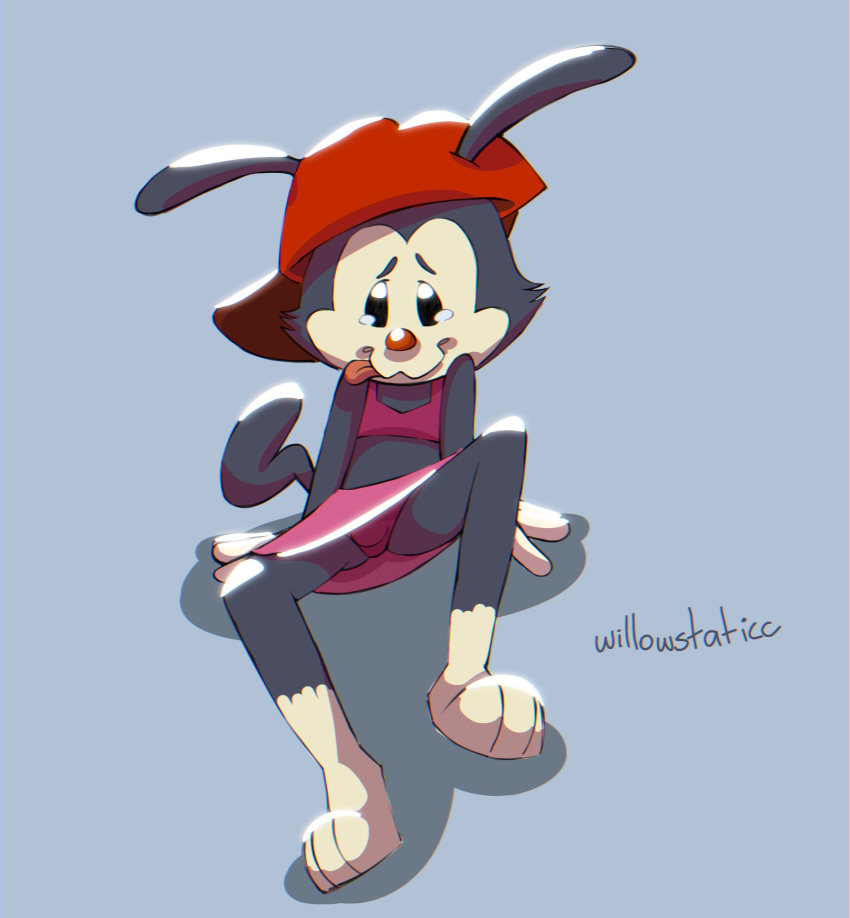 animaniacs animaniacs_(2020) anthro bottomwear bulge clothed clothing crossdressing hat headgear headwear hi_res hulu inkblot male mammal signature skirt solo tongue tongue_out upskirt wakko_warner warner_brothers willowstaticc young