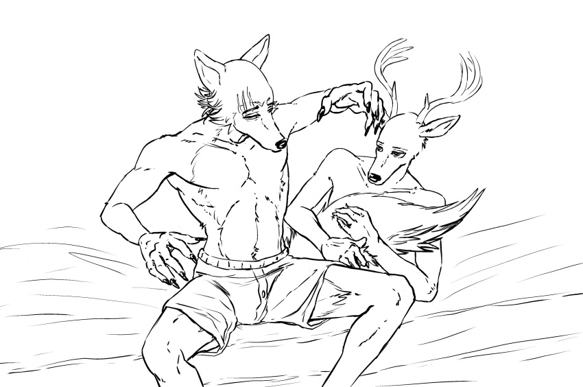 2020 absurd_res anthro antlers athletic athletic_anthro athletic_male beastars black_and_white boxers_(clothing) canid canine canis cervid clothing duo ffog fluffy fluffy_tail hi_res horn legoshi_(beastars) louis_(beastars) male mammal monochrome scar simple_background sitting tail_grab tail_hug underwear white_background wolf