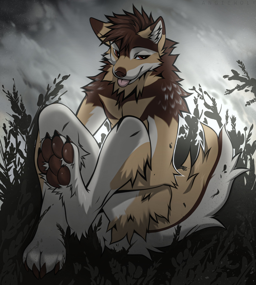 2020 4_toes absurd_res angiewolf anthro brown_pawpads canid canine canis claws day detailed_background digital_media_(artwork) feet fur hi_res male mammal outside pawpads paws sky smile solo tan_body tan_fur toe_claws toes white_body white_fur