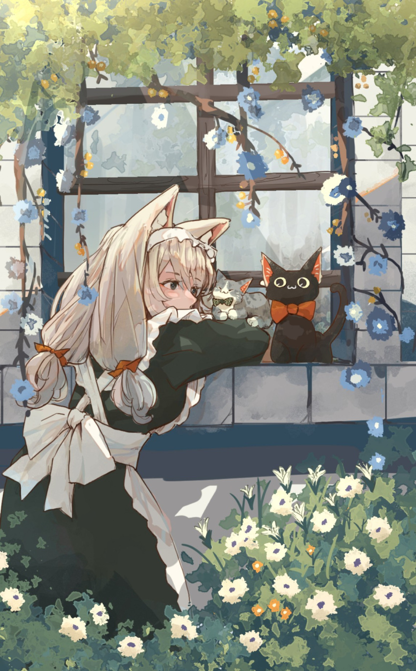 1girl animal animal_ear_fluff animal_ears apron back_bow black_cat black_dress blue_flower bow bowtie bright_pupils cat cat_ears commentary_request dress flower foliage frilled_apron frills grey_bow grey_bowtie grey_cat grey_eyes grey_hair hair_bow hairband highres leaning long_hair long_sleeves low_twintails maid multiple_sources oimo_imoo orange_bow orange_bowtie original outdoors red_bow solo twintails white_apron white_flower white_hairband window windowsill yellow_flower