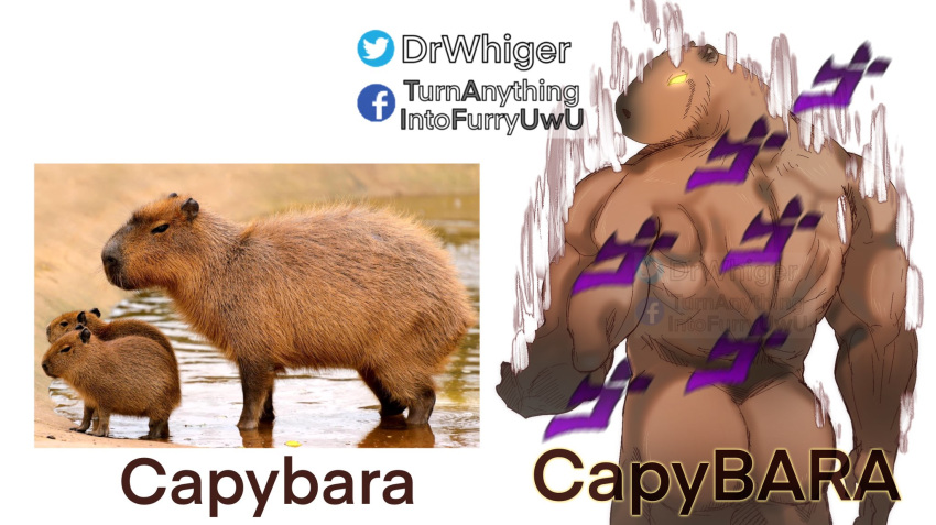 2020 anthro back_muscles barazoku big_muscles butt capybara caviid dr.whiger glowing glowing_eyes hi_res humor jojo's_bizarre_adventure male mammal meme muscular muscular_anthro muscular_male nude pun rear_view rodent solo standing