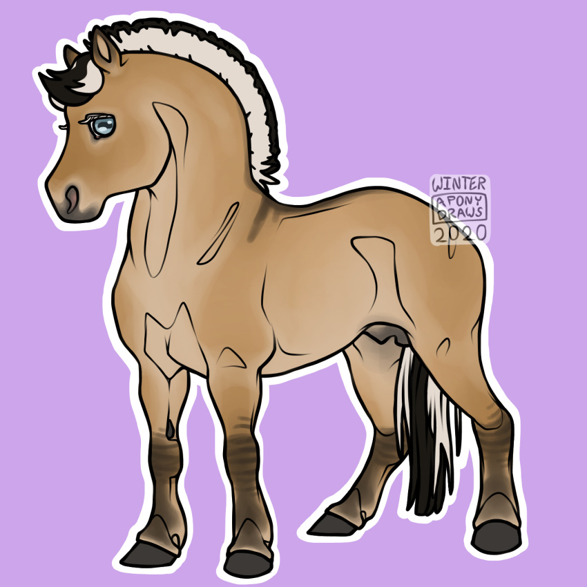 1:1 2020 a-pony a_pony black_hair black_mane black_tail blue_eyes digital_drawing_(artwork) digital_media_(artwork) draft_horse english_text equid equine feral fjord_horse fur hair hi_res hooves horse male mammal mane multicolored_hair quadruped signature simple_background solo tan_body tan_fur text two_tone_hair two_tone_tail white_hair white_mane white_tail