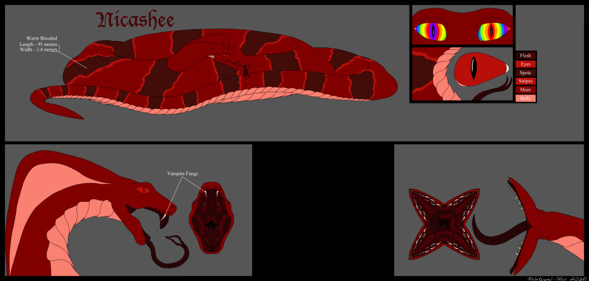 absurd_res anaconda boa_(snake) boinae cobra coiling fangs feral herm_(lore) hi_res hypnosis intersex mind_control model_sheet nalothisal_(artist) nicashee open_mouth reptile scales scalie snake snek solo tail_maw titanoboa vampire vore