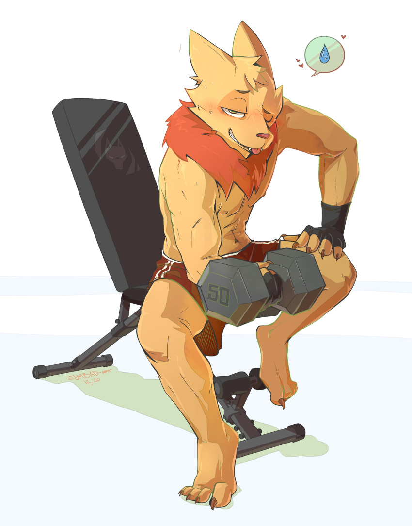 anthro biped clothed clothing dumbbell exercise exercise_equipment fan_character fluffy fully_clothed hi_res jmbad_art league_of_legends male mammal neck_tuft riot_games solo teemo_the_yiffer tuft video_games weightlifting weights workout yordle
