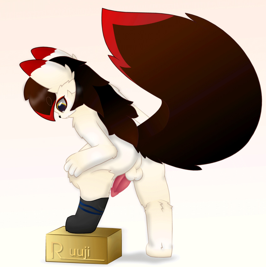 animated anthro balls bent_over big_tail box butt canid canine canis clothing domestic_dog footwear fox fur genitals hair hi_res long_hair look_down male mammal penis ruuji short_playtime socks solo standing wolf