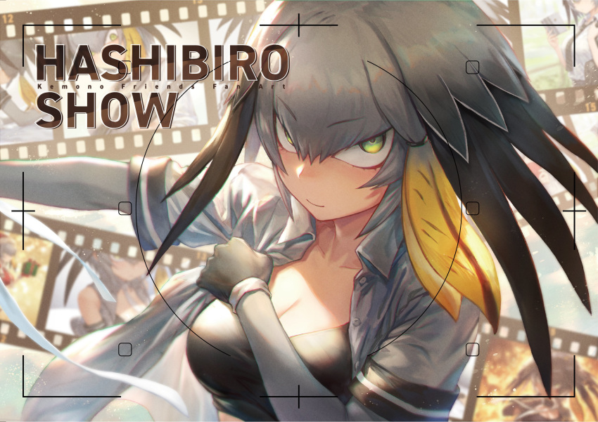 1girl absurdres artist_name bangs black_gloves black_hair blonde_hair breasts buttons cleavage closed_mouth collarbone collared_shirt cover cover_page doujin_cover dressing eyebrows_visible_through_hair film_reel gloves green_eyes grey_hair grey_shirt guchico hair_between_eyes head_wings highres kemono_friends light_smile long_hair long_sleeves looking_at_viewer medium_breasts medium_hair multicolored_hair open_clothes open_shirt shirt shoebill_(kemono_friends) short_over_long_sleeves short_sleeves sidelocks signature single_sidelock smile solo sports_bra tsurime two-tone_hair unbuttoned upper_body v-shaped_eyebrows