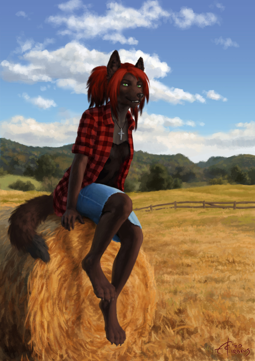 2020 absurd_res anthro bottomwear canid canine canis clothed clothing denim denim_clothing denim_skirt detailed digital_media_(artwork) digitigrade farm female flannel_shirt fully_clothed fur green_eyes grey_body grey_fur grin hair hi_res hybrid irbeus jewelry mammal multicolored_hair necklace open_clothing open_shirt open_topwear outside ponytail red_body red_fur red_hair shirt sierra_blakely sitting skirt smile solo tank_top topwear wolf