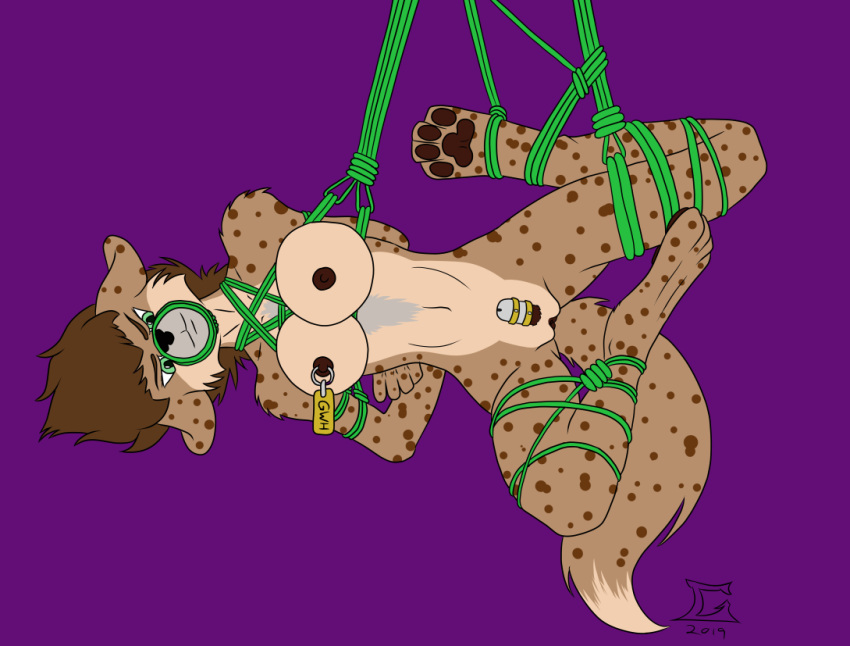 2019 4_toes anthro arms_tied bdsm black_nose bondage bound brown_hair brown_pawpads chastity_cage chastity_device frogtied fur genitals goliathcpg green_rope gynomorph hair hands_behind_back hyaenid intersex legs_tied mammal muzzle_(object) muzzled nipple_piercing nipple_ring nipple_tag nipples nude pawpads penis piercing pussy rope rope_bondage signature spots spotted_body spotted_fur suspension suspension_bondage toes