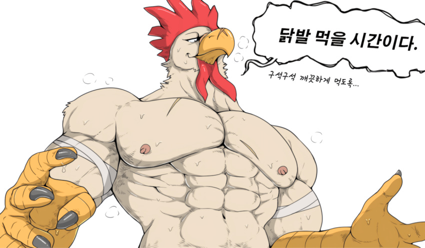 2020 abs anthro avian bird bodily_fluids check_translation chicken clothed clothing galliform gallus_(genus) half-length_portrait humanoid_hands korean_text male muscular muscular_anthro muscular_arms muscular_male nipples nude pecs phasianid portrait simple_background solo speech_bubble sweat tan_(artist) tan_body text topless topless_male translation_request white_background yellow_hands