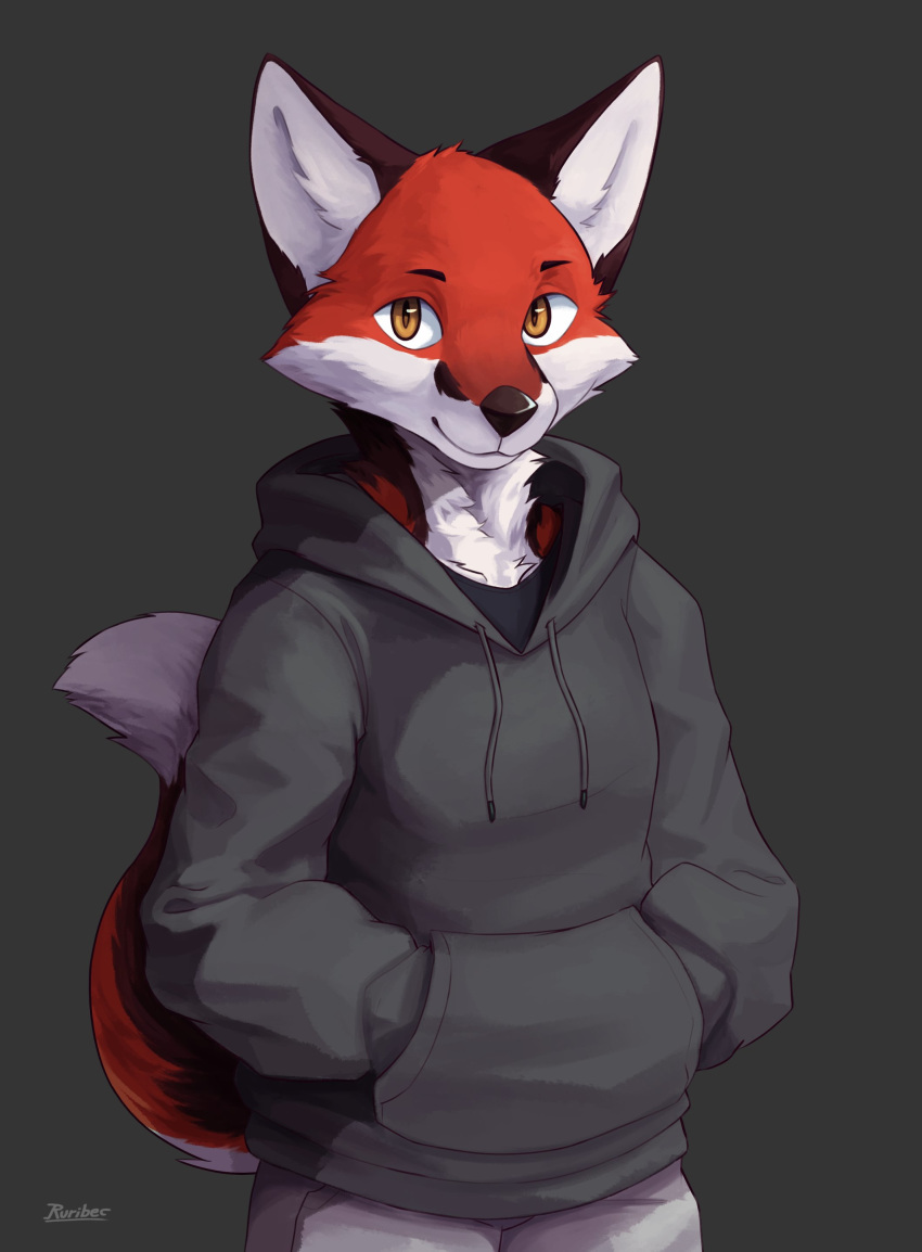 2020 absurd_res anthro canid canine cheek_tuft clothed clothing facial_tuft fox fully_clothed fur grey_background hi_res hoodie inner_ear_fluff looking_at_viewer male mammal neck_tuft portrait red_body red_fur ruribec simple_background smile solo topwear tuft white_body white_fur