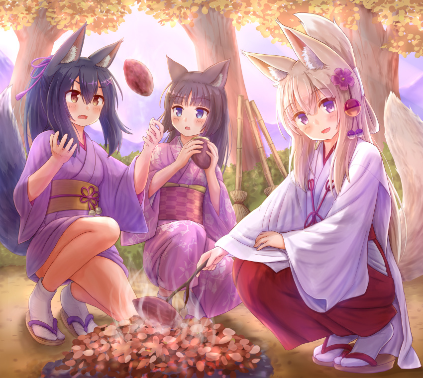 3girls :d absurdres animal_ear_fluff animal_ears bamboo_broom bangs black_hair blue_eyes blush broom brown_footwear brown_hair cat_ears commentary_request eyebrows_visible_through_hair fang flower folded_ponytail food fox_ears fox_girl fox_tail hair_between_eyes hair_flower hair_ornament hakama highres holding holding_food iroha_(iroha_matsurika) japanese_clothes kimono long_hair long_sleeves miko multiple_girls open_mouth original outdoors purple_eyes purple_flower purple_kimono red_hakama smile socks squatting sunset sweet_potato tabi tail tree very_long_hair white_kimono white_legwear wide_sleeves x_hair_ornament yakiimo zouri