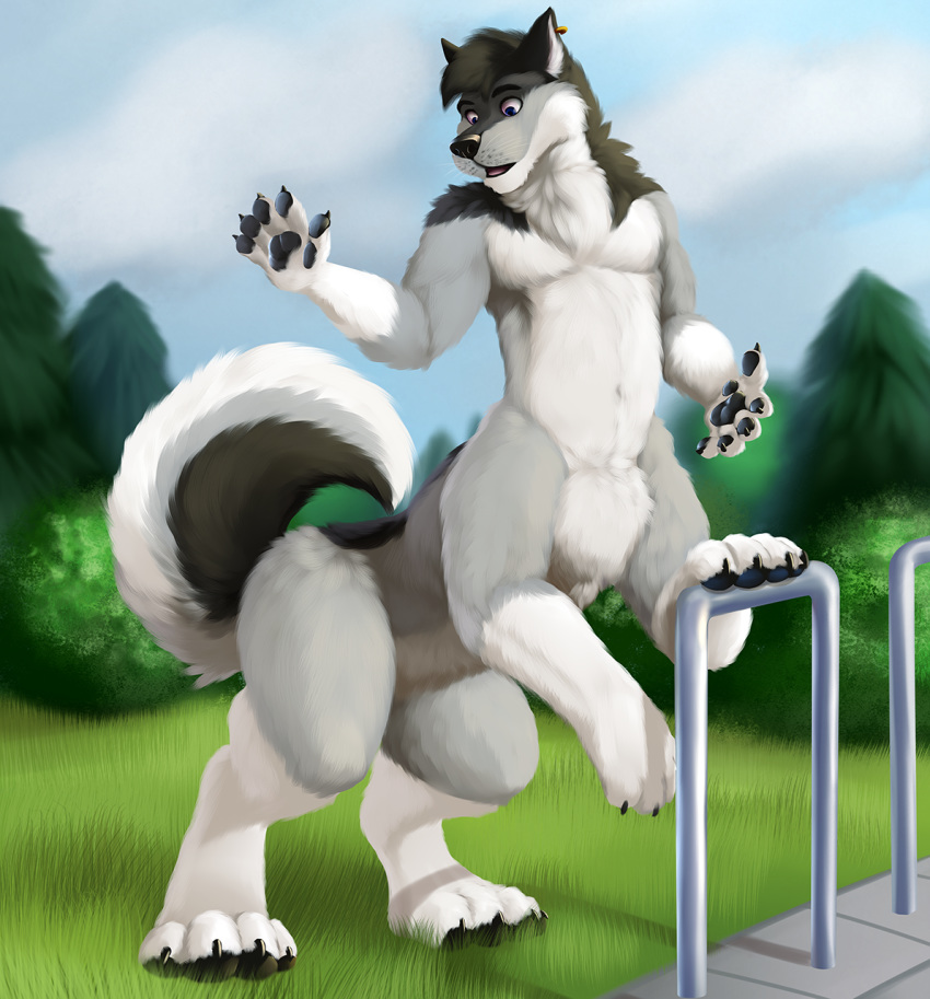 awkore canid canid_taur canine canine_taur canis hi_res jonas-puppeh male mammal mammal_taur park paws solo taur wolf wolf_taur