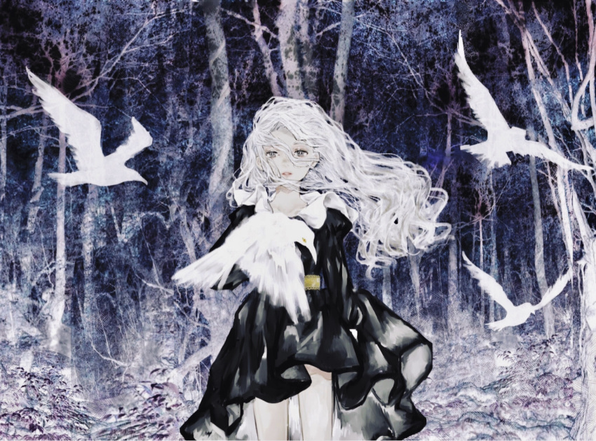 1girl arm_at_side bare_tree bird black_dress dress forest grey_eyes highres long_hair nature original outdoors parted_lips shirone_(coxo_ii) solo tree wavy_hair white_hair