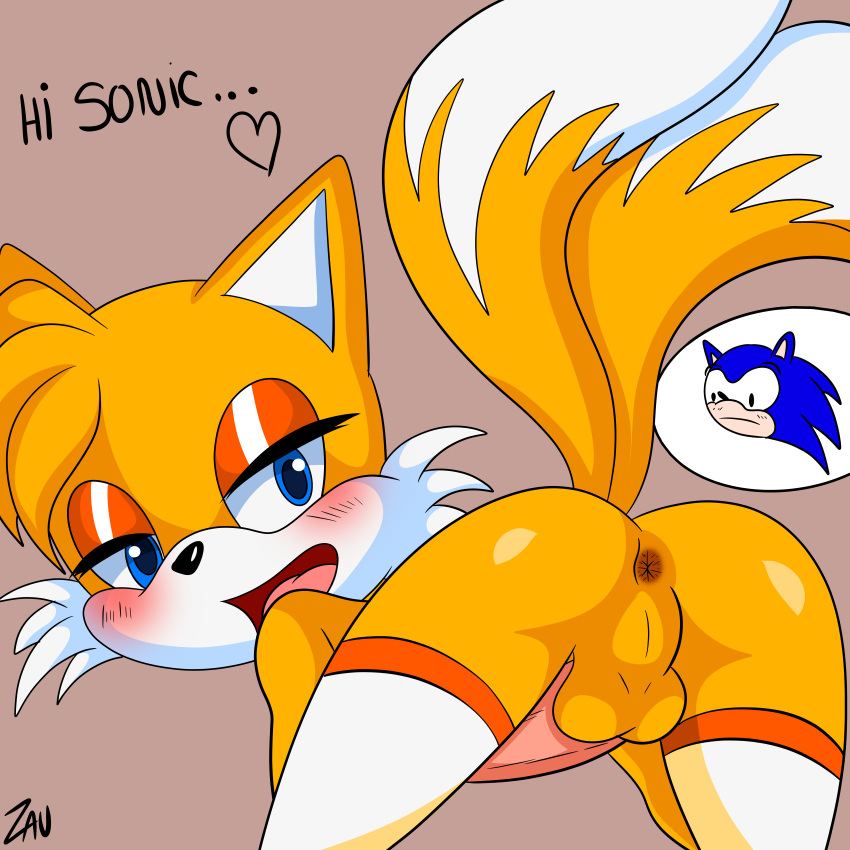 1:1 absurd_res all_fours anthro anus balls butt canid canine doggystyle duo eulipotyphlan fox from_behind_position genitals girly hedgehog hi_res humanoid male male/male mammal miles_prower penis sex sirjzau sonic_the_hedgehog sonic_the_hedgehog_(series)