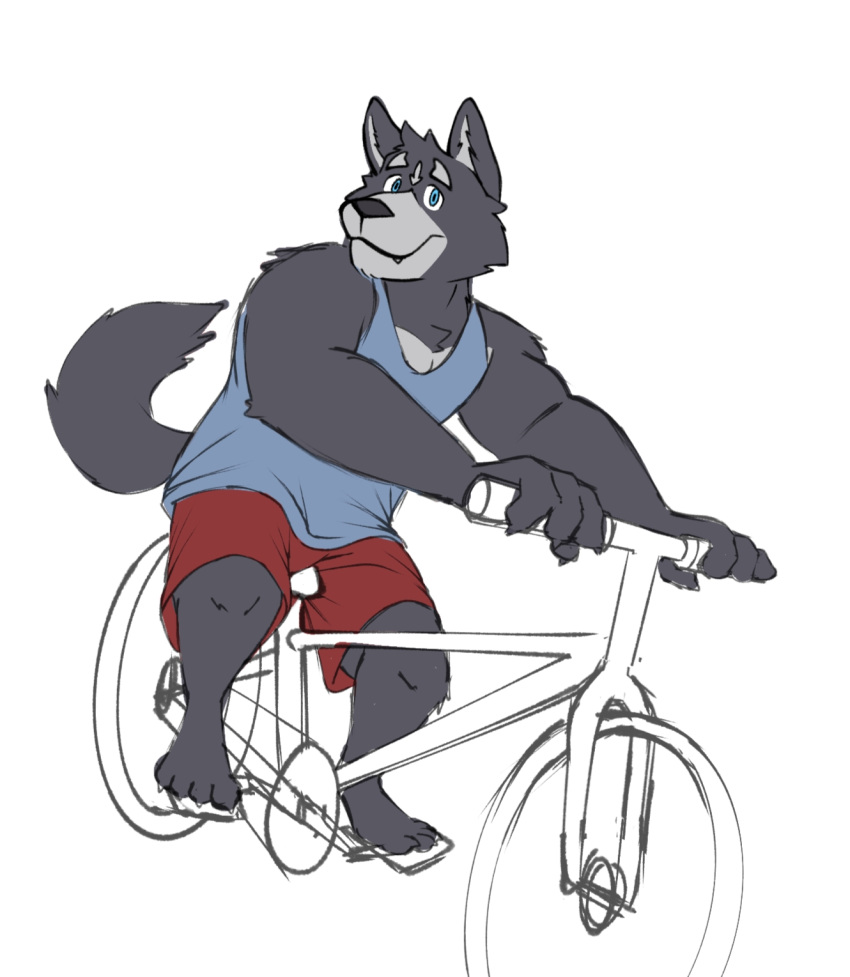 adastra adastra_(series) amicus_(adastra) anthro bicycle bottomwear canid canine canis cemagcre clothed clothing echo_project hi_res male mammal shirt shorts solo tank_top topwear video_games visual_novel wolf