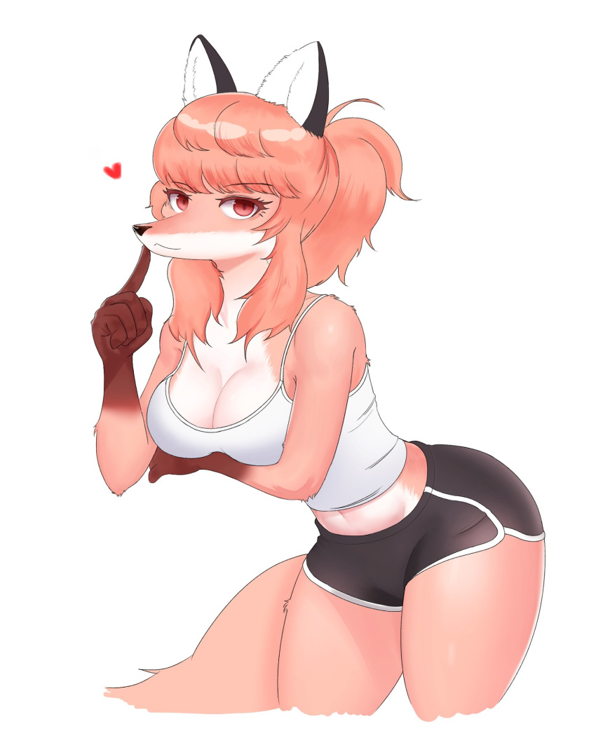 2020 anthro bottomwear breasts canid canine clothed clothing female fox fully_clothed fur gloves_(marking) herbivore_high_school hi_res hoho_(herbivore_high_school) kemono looking_at_viewer mammal markings midriff portrait shorts simple_background solo swetpot three-quarter_portrait white_background