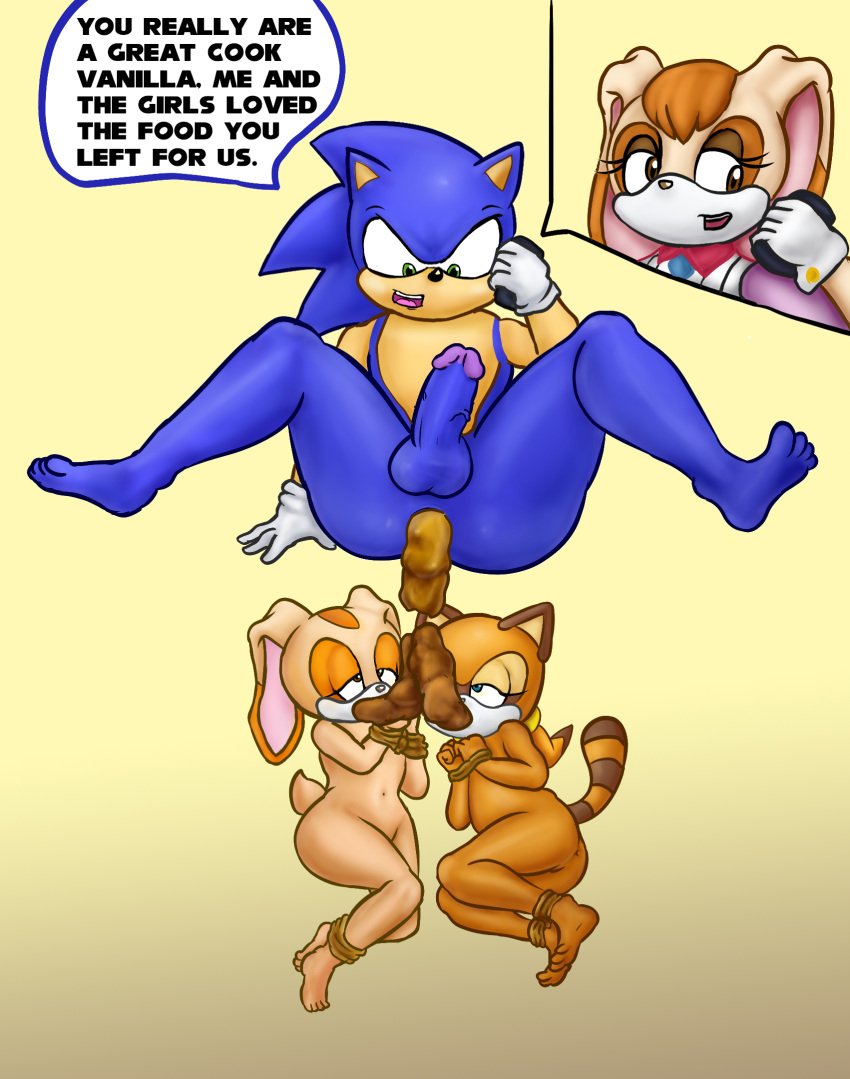 anthro bdsm bondage bound cream_the_rabbit duo eating_feces english_text eulipotyphlan feces female group hedgehog hi_res lagomorph leporid lordcuckness male male/female mammal marine procyonid rabbit raccoon scat sonic_the_hedgehog sonic_the_hedgehog_(series) text young