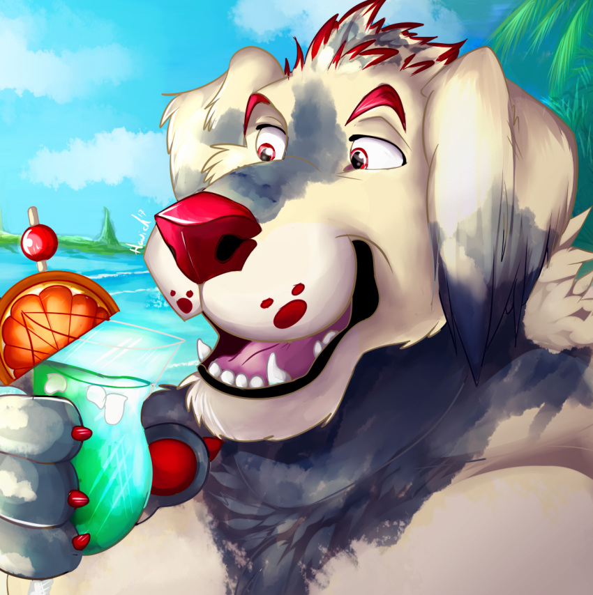 alcohol anthro beverage bleuliner canid canine canis claws cocktail cocktail_garnish cocktail_glass colored_nails digital_media_(artwork) domestic_dog eyebrows food fruit hair havick_(artist) hi_res icon male mammal molosser mountain_dog nails newfoundland_dog plant red_claws red_eyebrows red_eyes red_hair red_nose sea simple_background solo tropical water