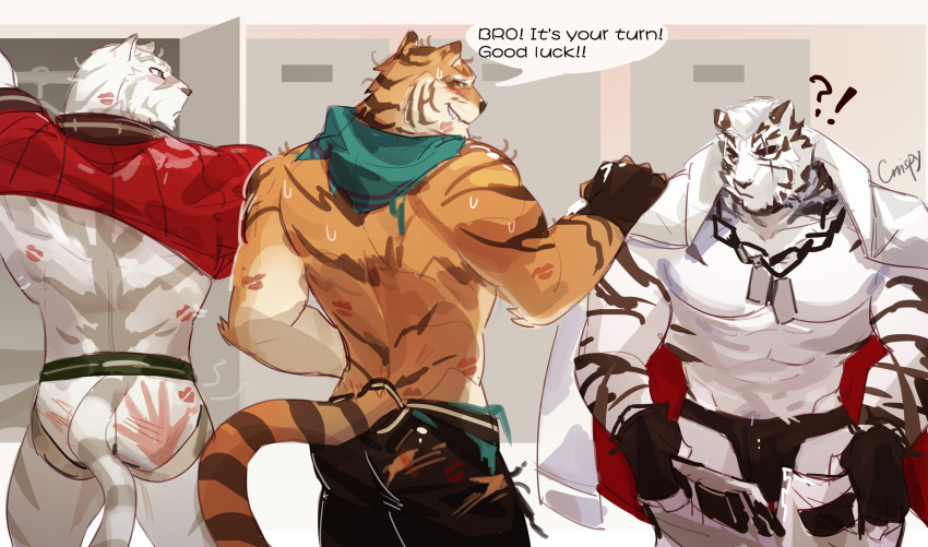 absurd_res anthro clothing crrispy_shark english_text felid fur group hi_res jockstrap kiss_mark locker_room male mammal mercenary_(character) messy_fur mountain_(arknights) muscular muscular_male orange_body orange_fur palms pang pantherine panties scarf text tiger torn_clothing underwear white_body white_fur