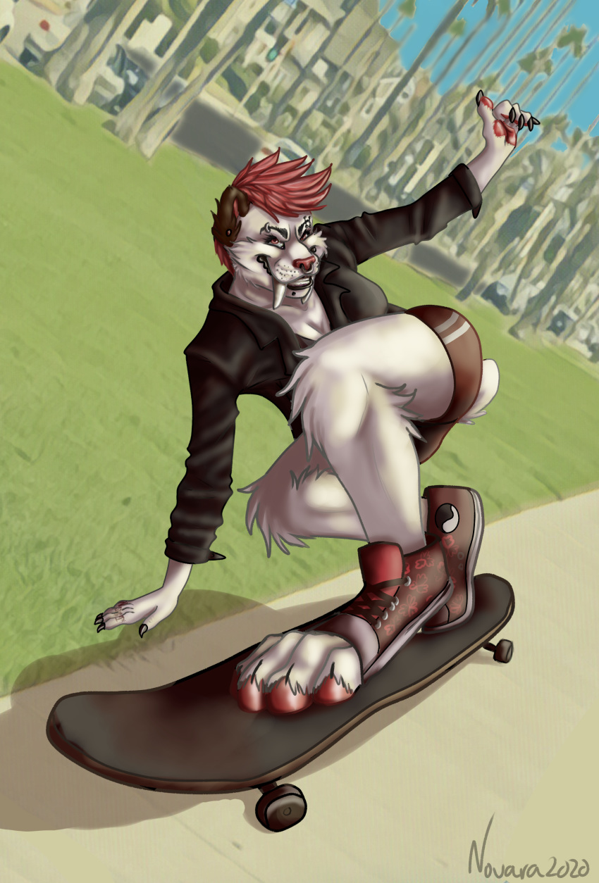 abella_mf_spirit absurd_res anthro bottomwear clothing converse_shoes emberemerald embersdunegon fangs felid female fur hi_res hindpaw hotpants invalid_tag machairodontine mammal novara paws piercing sabertooth_(anatomy) shorts skateboard skating solo thick_thighs white_body white_fur