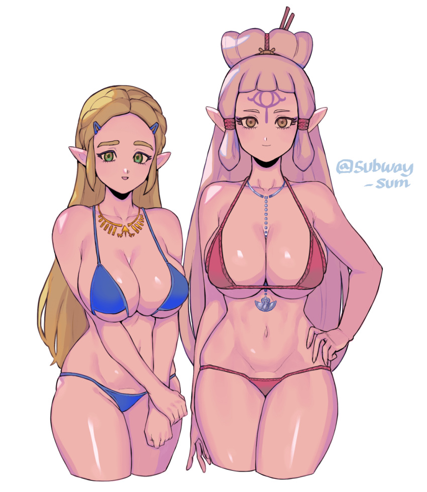 2girls bikini blonde_hair blue_bikini braid breasts brown_eyes cropped_legs forehead_tattoo green_eyes hair_bun hair_ornament hairclip highres hyrule_warriors:_age_of_calamity impa jewelry large_breasts looking_at_viewer multiple_girls necklace pointy_ears princess_zelda red_bikini silver_hair smile subway_sum swimsuit the_legend_of_zelda the_legend_of_zelda:_breath_of_the_wild toned