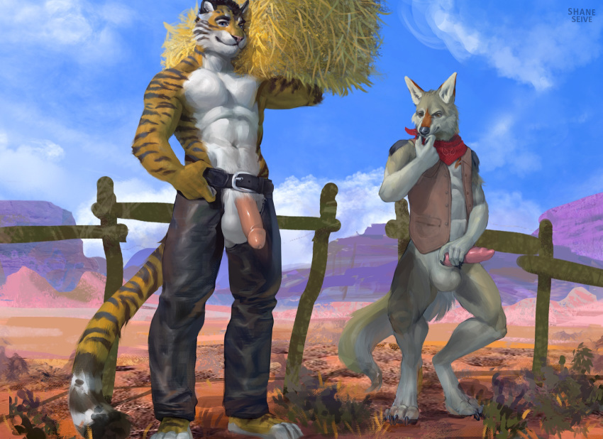 2019 4_toes animal_genitalia animal_penis anthro balls biped blue_eyes blue_sky bottomless canid canine canine_penis canis canyon chaps claws clothed clothing countershading cowboy coyote day desert detailed_background digital_media_(artwork) digitigrade duo exhibitionism felid fingers fur genitals hi_res humanoid_genitalia humanoid_penis karnal knot leather male male/male mammal multicolored_body multicolored_fur outside pantherine penis plantigrade shaneinvasion sky standing striped_body striped_fur stripes tiger toe_claws toes topless white_countershading zeekerz