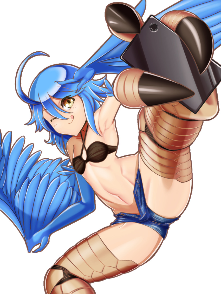 monster_girl monster_musume_no_iru_nichijou papi tagme wings