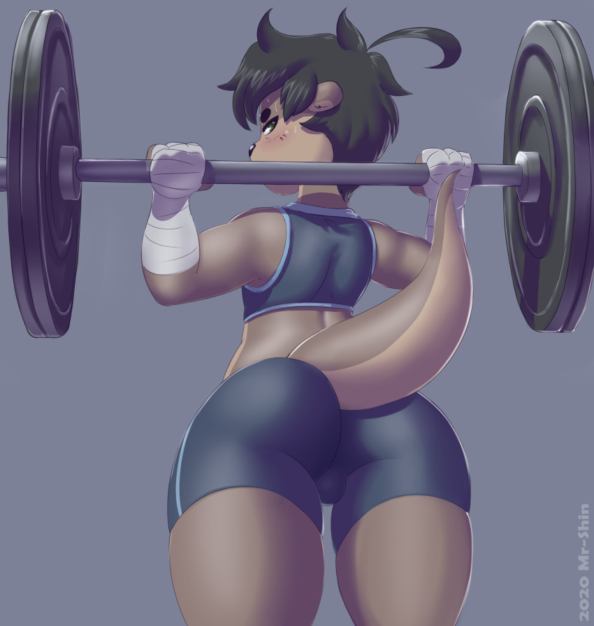 2020 anthro barbell big_butt black_hair black_nose blue_bottomwear blue_clothing blue_shirt blue_shorts blue_topwear blush bodily_fluids bottomwear brown_body brown_fur bubble_butt bulge butt clothed clothing crop_top exercise exercise_clothing fur girly green_eyes grey_background hair hand_wraps hi_res holding_object hotpants looking_at_viewer looking_back lutrine male mammal midriff mr-shin muscular muscular_anthro muscular_male mustelid raised_arms raised_tail rear_view river_otter shin_(mr-shin) shirt shorts simple_background skimpy solo sweat sweatdrop tan_body tank_top tight_clothing topwear weightlifting workout wraps