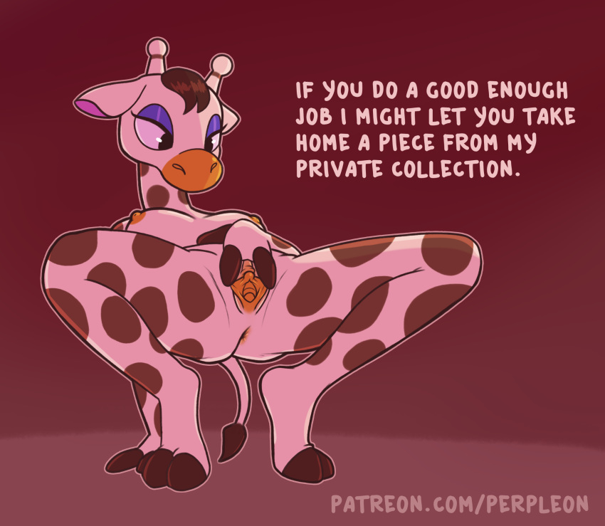 2020 animal_crossing anthro anus breasts butt dialogue digital_media_(artwork) english_text female genitals giraffe giraffid gracie_(animal_crossing) hi_res mammal nintendo nipples nude perpleon presenting presenting_pussy pussy solo spread_legs spread_pussy spreading text url video_games