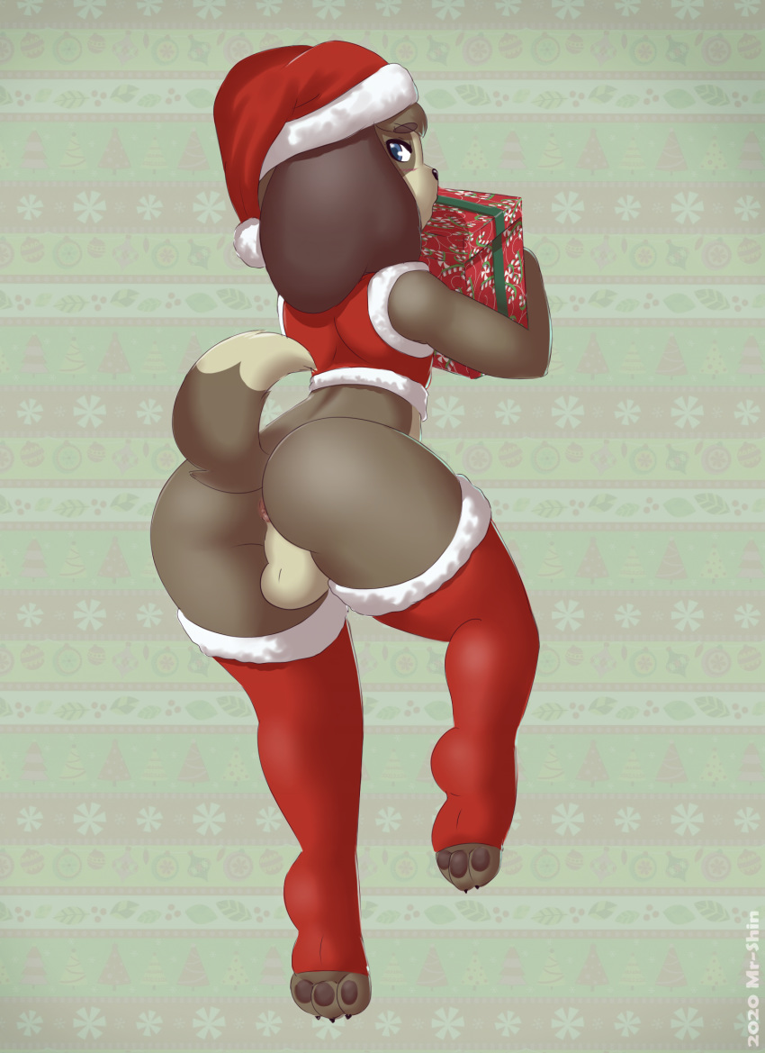 2020 3_toes animal_crossing anthro anus backsack balls black_claws black_nose black_pawpads blue_eyes bottomless brown_body brown_fur brown_hair canid canine canis christmas christmas_clothing christmas_headwear christmas_present claws clothed clothing digby_(animal_crossing) dipstick_tail domestic_dog eyebrows fur genitals gift girly hair hat headgear headwear hi_res holding_object holidays legwear looking_at_viewer looking_back male mammal mr-shin multicolored_tail nintendo pawpads raised_leg raised_tail red_clothing red_legwear red_stockings red_topwear santa_hat shih_tzu solo stockings tan_balls tan_body tan_fur thick_eyebrows toe_claws toeless_stockings toes topwear toy_dog video_games white_clothing white_legwear white_stockings white_topwear