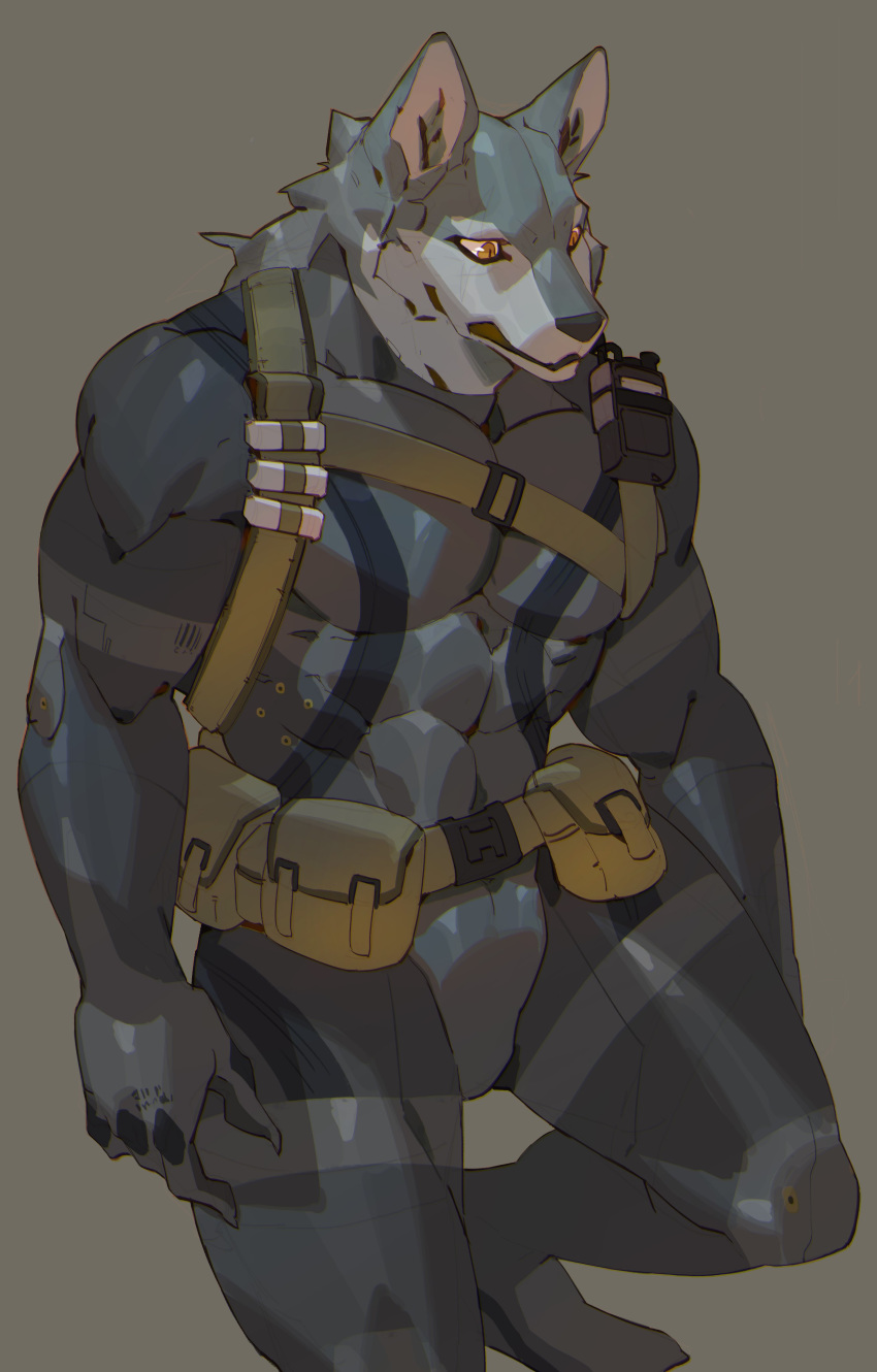 abs absurd_res anthro black_nose bodysuit canid canine canis clothing cxcxxcxxxx fur grey_body grey_fur hair hi_res male mammal military multicolored_hair muscular muscular_anthro muscular_male pecs simple_background skinsuit solo tight_clothing two_tone_hair walkie_talkie wolf yellow_eyes