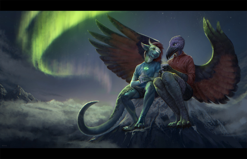 anthro avian beak bird clothed clothing detailed_background feathered_wings feathers fingers hi_res hoodie lizard male night outside red_clothing red_hoodie red_topwear reptile royzilya scalie sky star starry_sky toes topwear wings