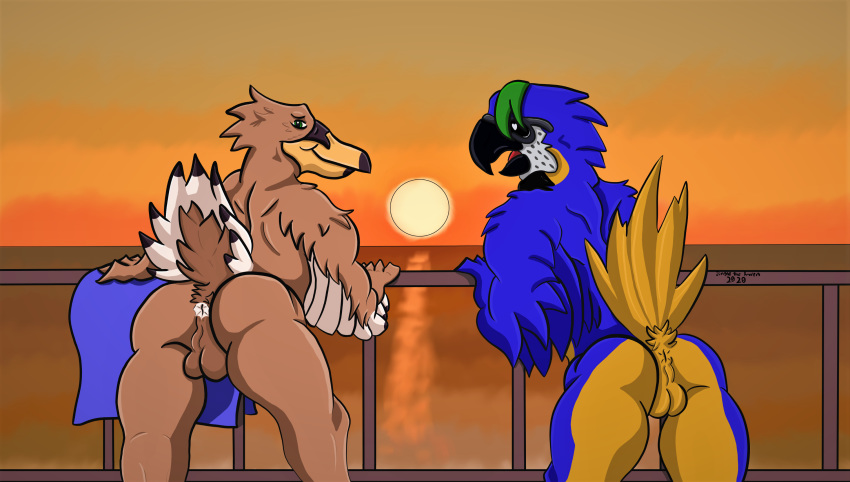 anatid anseriform anthro avian balls beak bird blue_body blue_feathers brown_body brown_feathers butt duck duo eyewear feathers genitals hi_res jingletheraven male multicolored_body multicolored_feathers neotropical_parrot nude parrot perry_whitewing presenting presenting_hindquarters railing sea sunglasses sunset towel true_parrot water yellow_body yellow_feathers