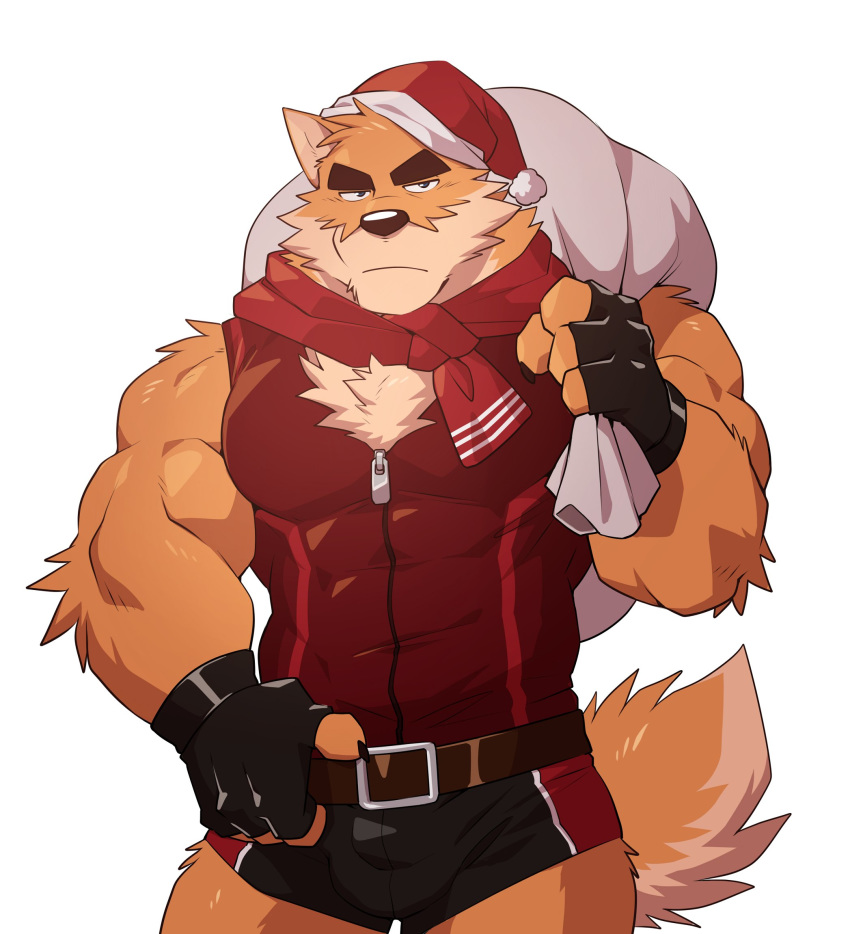 2020 4_fingers anthro arm_tuft bag belt biceps big_muscles black_nose blue_eyes bottomwear brown_body brown_fur bulge canid canine canis carrying chest_tuft christmas christmas_clothing christmas_headwear claws clothed clothing domestic_dog elbow_tufts fingerless_gloves fingers fur gloves handwear hat headgear headwear hi_res holidays male mammal muscular muscular_anthro muscular_male otake santa_hat scarf shorts simple_background solo takemoto_arashi tan_body tan_fur topwear tuft white_background
