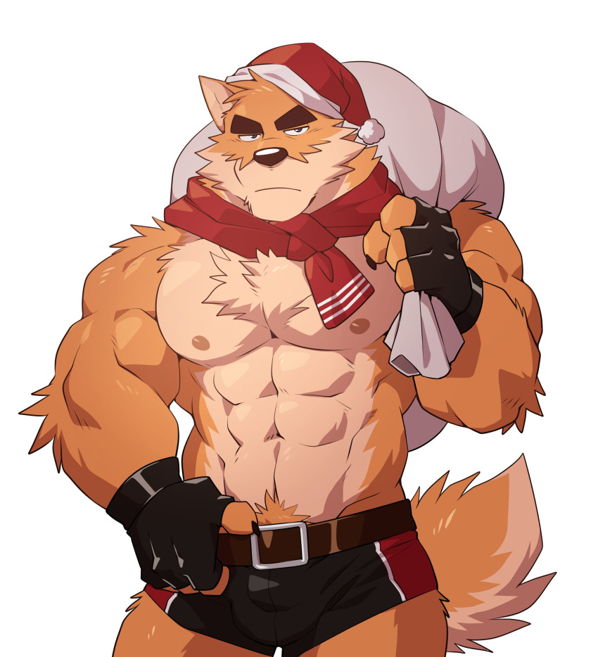 2020 4_fingers abs anthro arm_tuft bag belt biceps big_muscles black_nose blue_eyes bottomwear brown_body brown_fur bulge canid canine canis carrying chest_tuft christmas christmas_clothing christmas_headwear claws clothed clothing crotch_tuft domestic_dog elbow_tufts fingerless_gloves fingers fur gloves handwear hat headgear headwear hi_res holidays male mammal muscular muscular_anthro muscular_male otake pecs santa_hat scarf shorts simple_background skimpy solo takemoto_arashi tan_body tan_fur topless tuft white_background