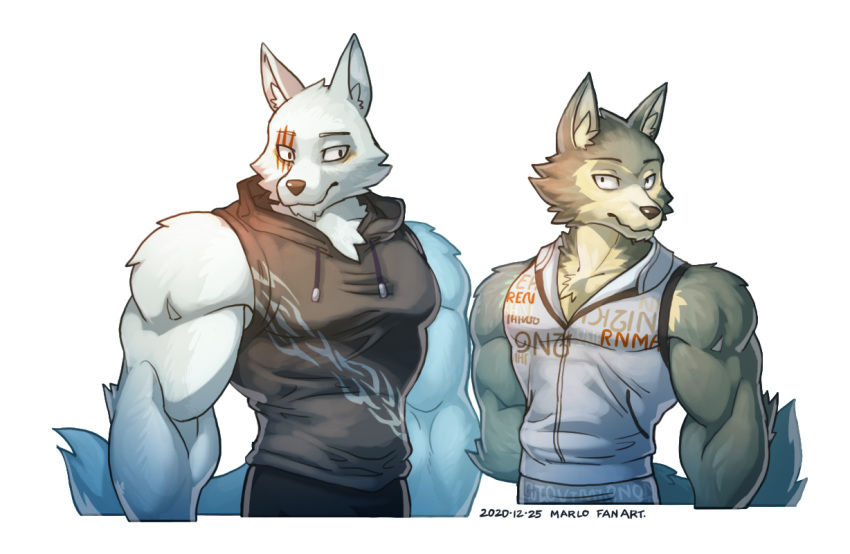 2020 anthro beastars biceps canid canine canis clothed clothing fur grey_body grey_fur legoshi_(beastars) male mammal simple_background wolf wolfmalro