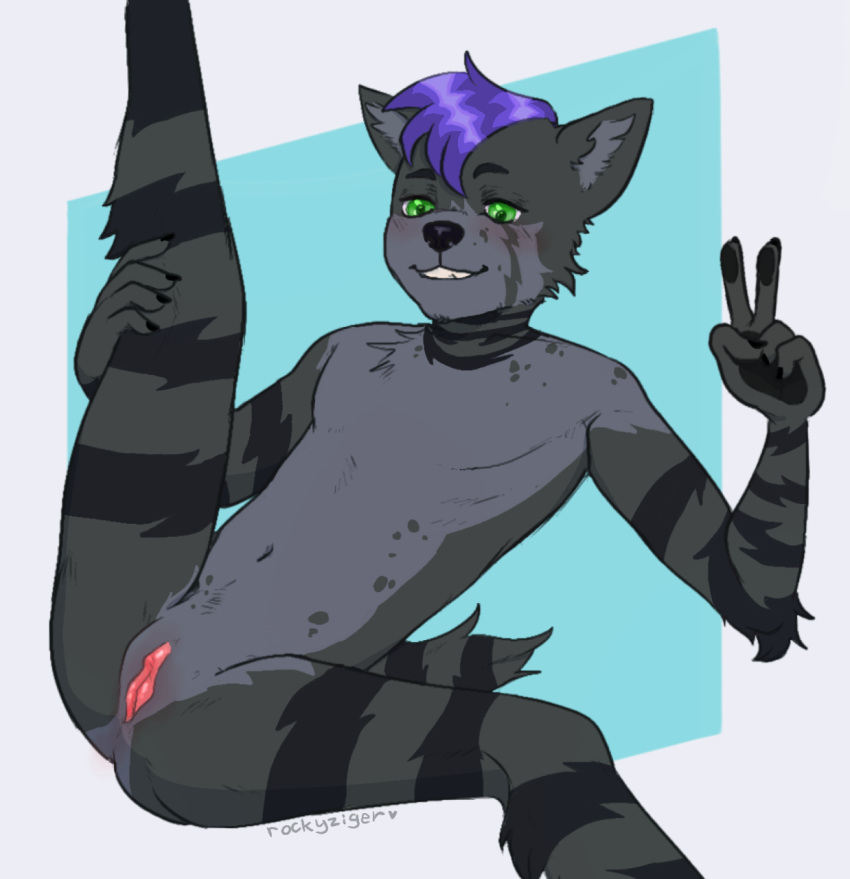 andromorph anthro blue_background fur genitals green_eyes grey_body hi_res hyaenid intersex mammal purple_eyes pussy raised_leg rockyziger simple_background smile solo spread_legs spreading striped_body striped_fur striped_tail stripes