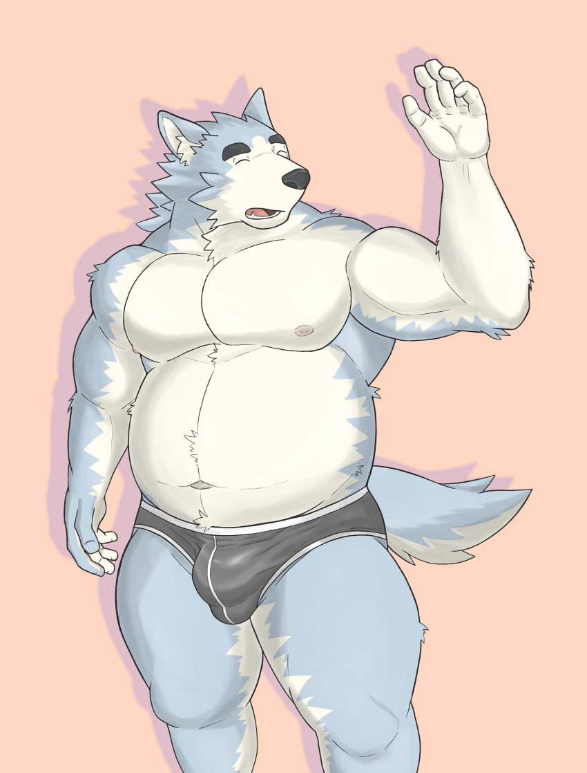 2020 absurd_res anthro belly black_nose bulge canid canine canis clothing domestic_dog eyes_closed hi_res humanoid_hands husky kemono male mammal moobs navel nipples nordic_sled_dog overweight overweight_anthro overweight_male shiroi's_public_investigation simple_background solo spitz underwear zenon_s2017