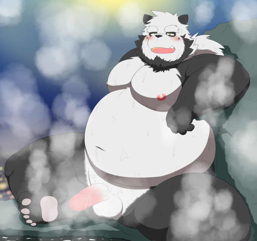 2020 anthro aosano_tenpura balls belly black_body black_fur blush fur genitals giant_panda hi_res humanoid_hands kemono male mammal moobs nipples overweight overweight_anthro overweight_male penis sitting solo ursid white_body white_fur