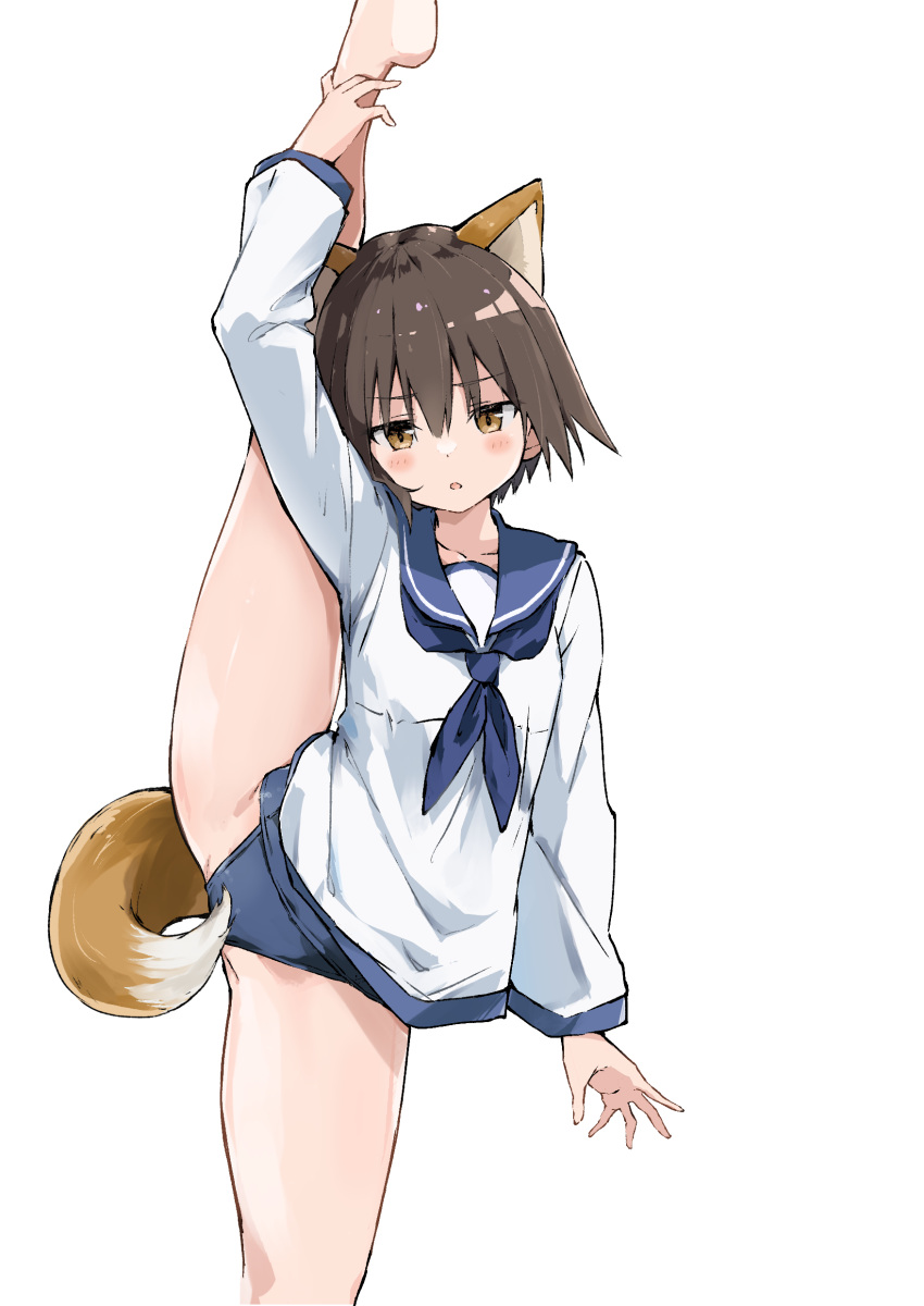 1girl :o absurdres animal_ears bangs blue_neckwear blue_sailor_collar blue_swimsuit brown_eyes brown_hair collarbone commentary cowboy_shot dog_ears dog_tail dot_nose eyebrows_visible_through_hair highres jitome looking_at_viewer miyafuji_yoshika neckerchief rauto sailor_collar sailor_shirt school_swimsuit shirt short_hair solo split standing standing_on_one_leg standing_split strike_witches sweatdrop swimsuit swimsuit_under_clothes tail transparent_background white_shirt world_witches_series yamakawa_michiko