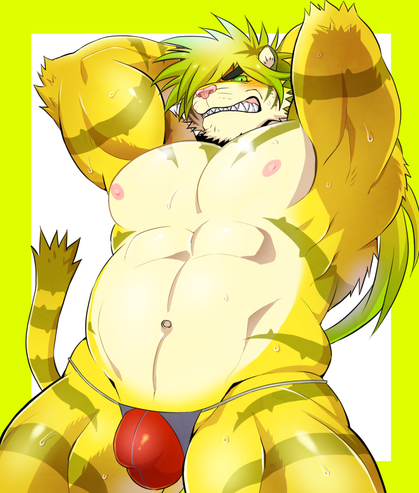 1boy animal_ears arms_behind_head bara belly bikini_briefs black_eyes blonde_hair bulge ezaki_papiko furry green_sclera highres looking_at_viewer macan_(tokyo_houkago_summoners) male_focus muscular muscular_male navel nipples pectorals plump red_male_underwear solo thick_eyebrows thick_thighs thighs tiger_boy tiger_ears tokyo_houkago_summoners underwear underwear_only yellow_fur