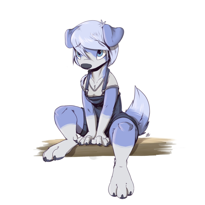 1:1 2020 anthro barefoot blue_body blue_fur canid canine canis clothed clothing domestic_dog female floppy_ears fully_clothed fur gloves_(marking) hi_res leg_markings louart mammal markings multicolored_body multicolored_fur overalls simple_background sitting socks_(marking) solo two_tone_body two_tone_fur white_background white_body white_fur