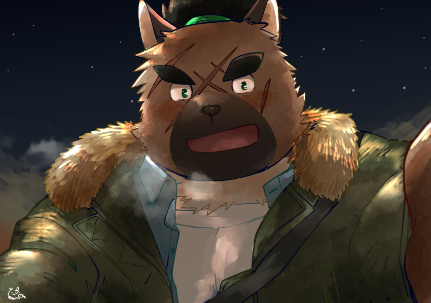 2020 anthro brown_body brown_fur canid canine canis clothing domestic_dog fur hi_res kemono male mammal outside overweight overweight_anthro overweight_male sawch_cls scar shirt solo sweater tokyo_afterschool_summoners topwear video_games yasuyori