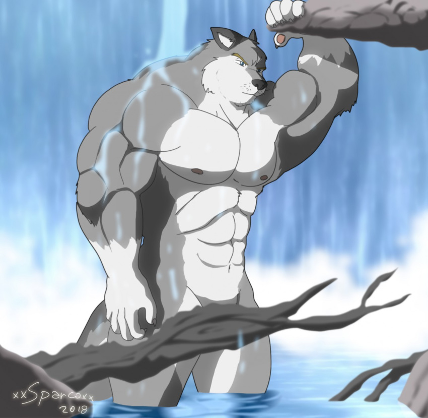2018 5_fingers abs anthro barazoku bathing biceps black_nose branch canid canine canis claws convenient_censorship countershade_face countershade_legs countershade_torso countershading digital_media_(artwork) fingers fur grey_body grey_fur hi_res kraso_(xxsparcoxx) looking_down male mammal multicolored_body multicolored_fur muscular muscular_anthro muscular_male natural_shower nature navel nipples nude outside partially_submerged pecs pond shower skinny_dipping solo two_tone_body two_tone_fur water waterfall wet wet_body wet_fur whiskers white_body white_fur wolf xxsparcoxx