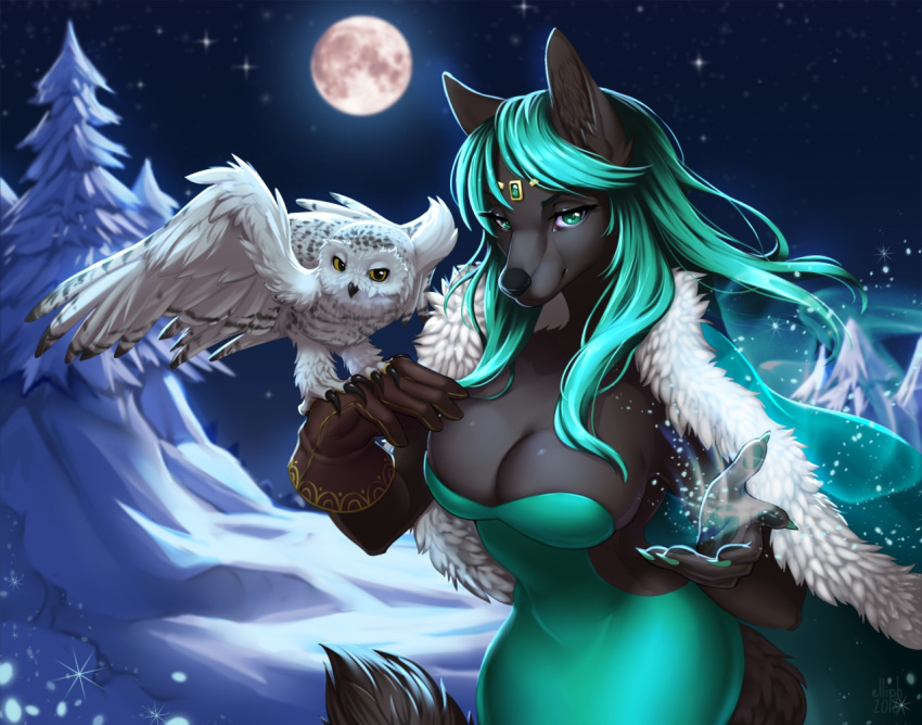 2018 ambiguous_gender anthro avian bird breasts clothed clothing deerstail detailed_background digital_media_(artwork) duo eyebrows eyelashes female feral green_hair hair looking_at_viewer moon night outside owl sky snow star starry_sky winter