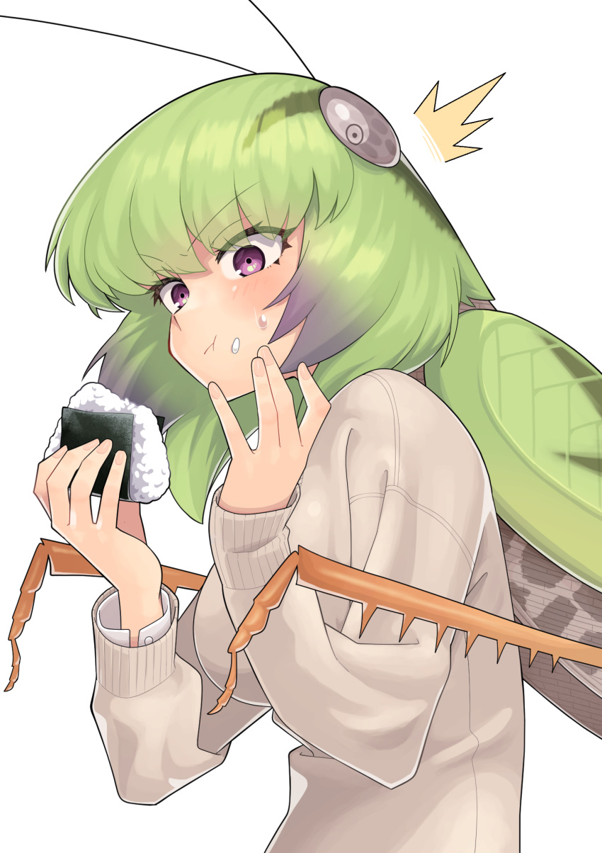 1girl :t bug eating evolvingmonkey eyebrows_visible_through_hair food food_on_face grasshopper grasshopper_inoue green_hair highres insect insect_girl onigiri original purple_eyes rice rice_on_face solo upper_body white_background